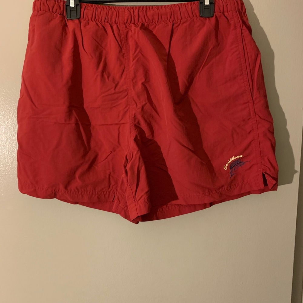 Men’s Bathing Suits - Picture 2 of 3